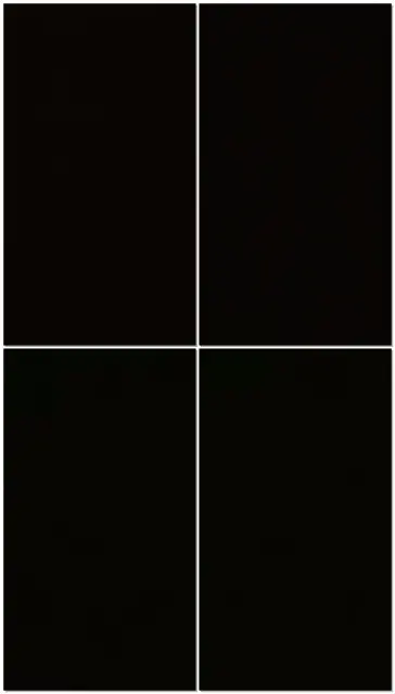 【佳佳s】圈养洗脑